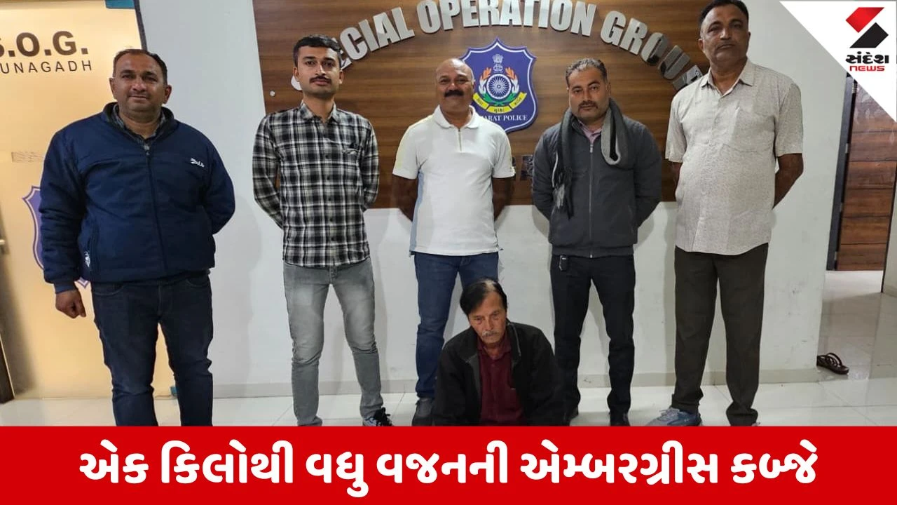 Junagadhમાં એમ્બરગ્રીસ સ્મલિંગ રેકેટનો પર્દાફાશ, એક કરોડથી વધુનો મુદ્દામાલ જપ્ત કરાયો 