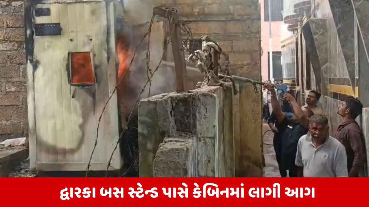 Dwarka : ઇલેક્ટ્રિક ટાવર પાસેની કેબિનમાં ભીષણ આગથી ફફડાટ, કોઇ જાનહાનિ નહીં 
