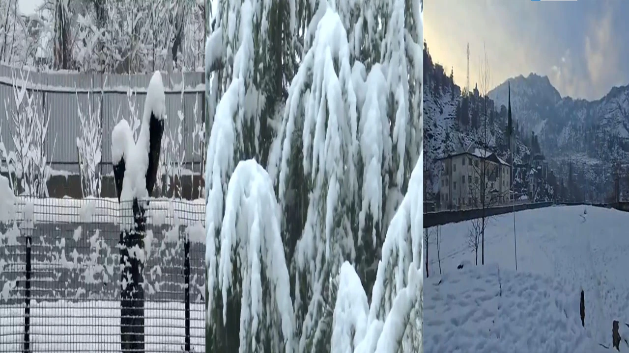 જમ્મુ-કાશ્મીરમાં હિમવર્ષા: ચારે તરફ છવાઈ સફેદ ચાદર જેવો નજારો, સુંદરતામાં વધારો.