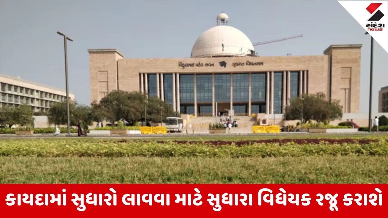 Gandhinagar : 135-D નોટિસનો જવાબ આપવાની સમય મર્યાદા ઘટશે, જમીન વ્યવહારમાં ભ્રષ્ટાચારને નાબૂદ કરવા તૈયારી 
