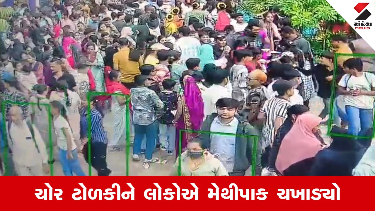 Vadodara News : કમાટીબાગમાં માનવ મહેરામણ વચ્ચે તસ્કરીનો ખેલ, પોલીસે મહિલા ચોરની ધરપકડ કરી 