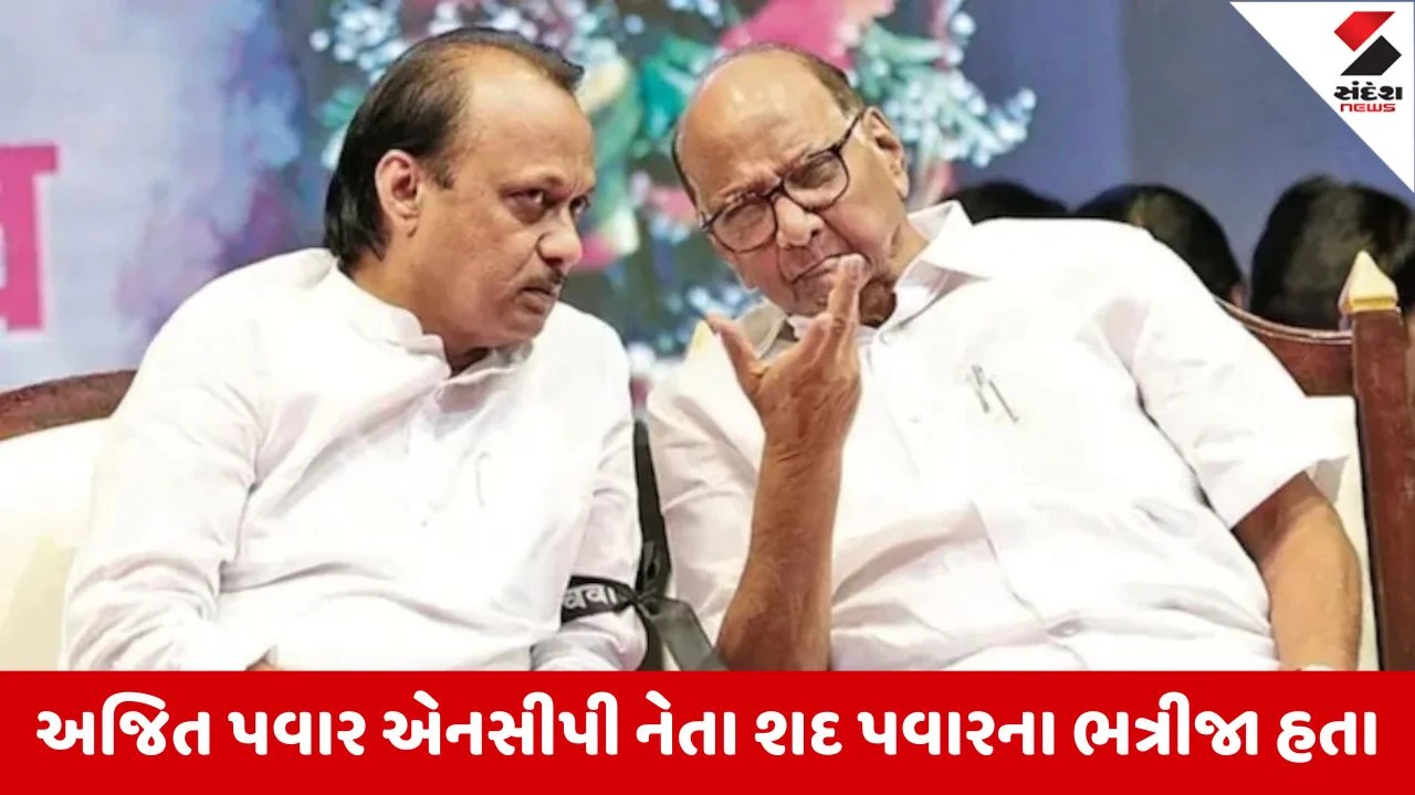 Baramati Plane Crash : અજિત પવારના નિધનના સમાચાર વયોવૃદ્ધ કાકા શરદ પવારને કેવી રીતે આપવા ? વાંચો...પરિવારે શું કર્યું 
