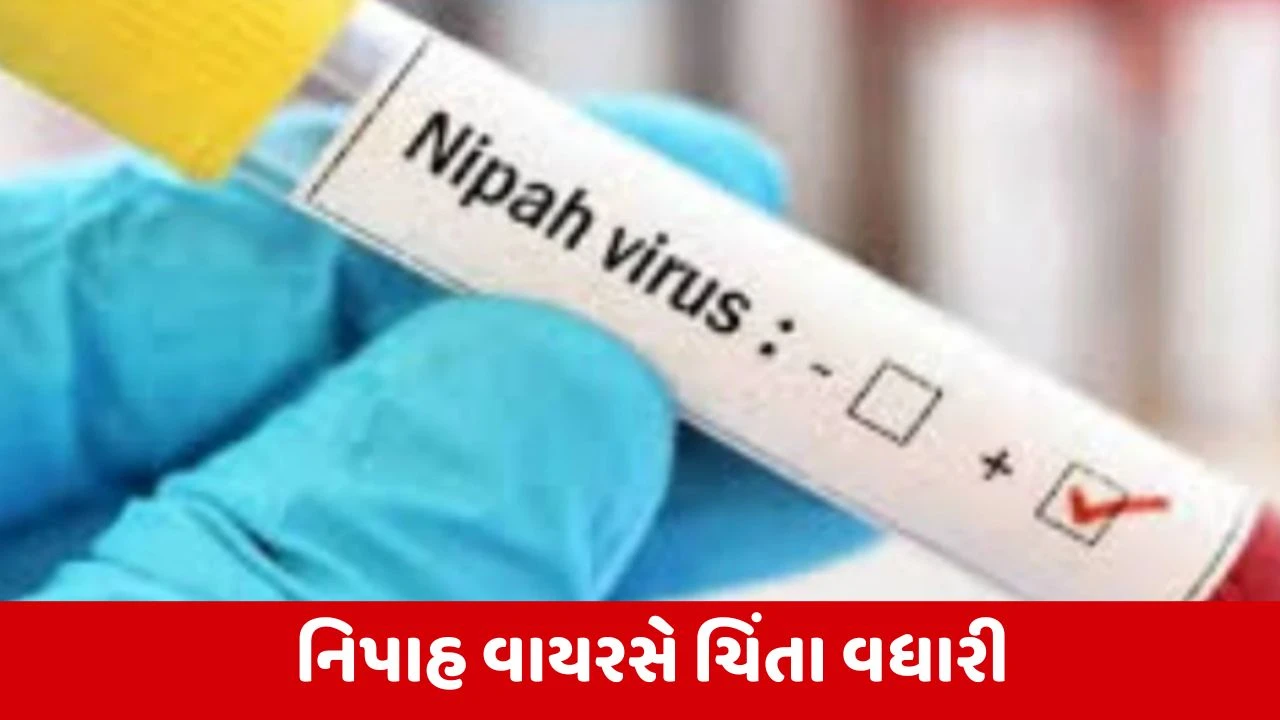 Nipah Virus Cases : દેશમાં નિપાહ વાયરસના 2 કેસ, એશિયાઈ દેશોમાં એલર્ટ જાહેર કરાયું 