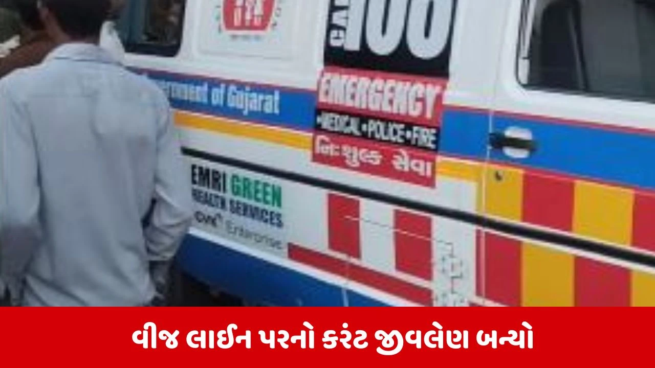 Mahisagarના વિરપુરમાં મેન્ટેનન્સ કામગીરી દરમિયાન કરંટ લાગતા વીજકર્મીનું મોત 