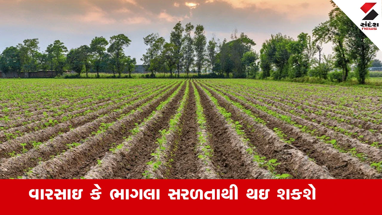Gandhinagar News: ખેતીની જમીનના 10 ગુંઠાથી વધુના ટુકડા નિયમિત થશે, વારસાઇ સરળ.