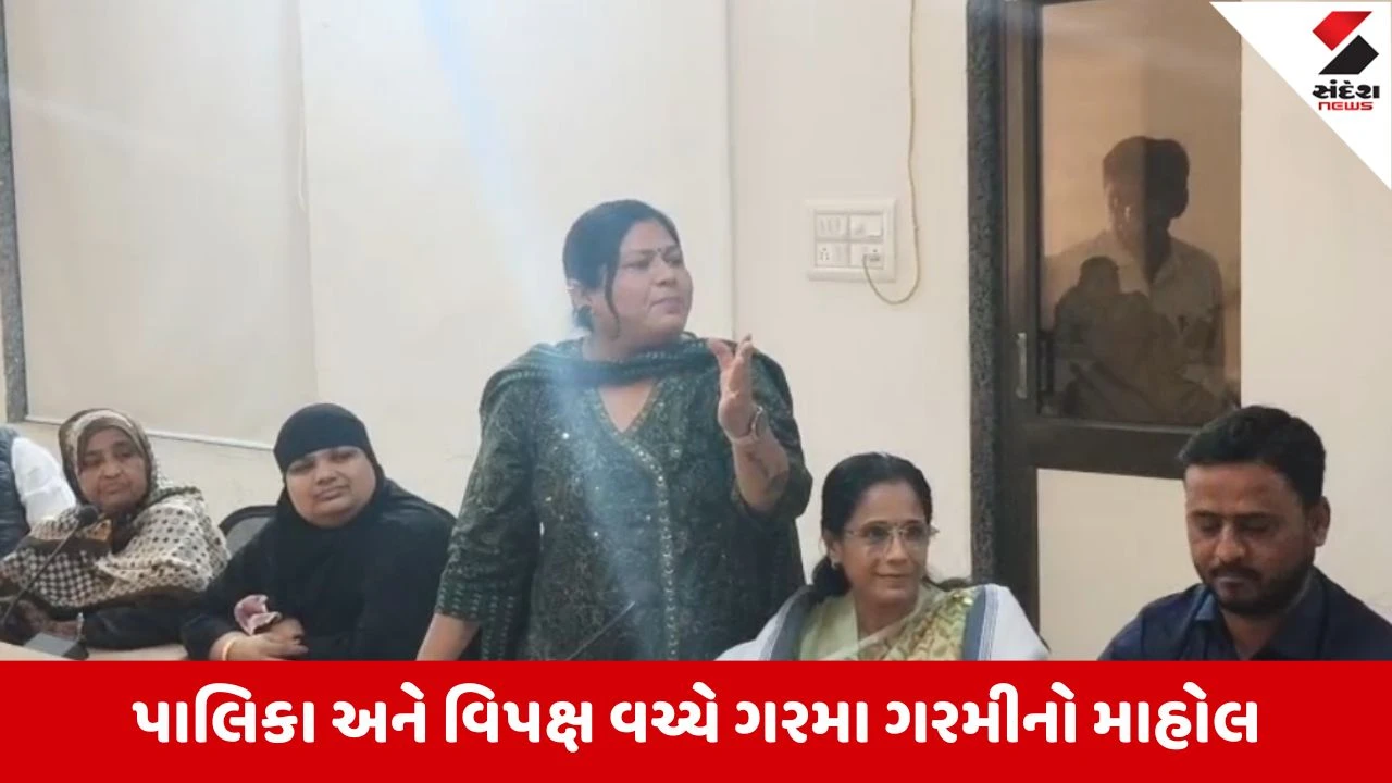 Banaskantha : પાલનપુર નગરપાલિકાની અંતિમ સાધારણ સભા મળી, વિકાસના અનેક કામોને મંજૂરી 