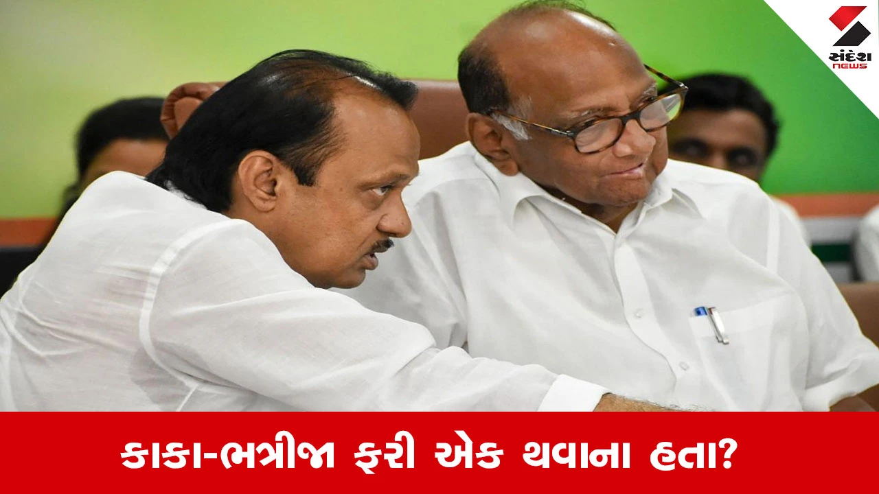 Ajit Pawar Sharad Pawar: શું અજિત પવાર કાકા શરદ પવાર સાથે NCPના વિલયનું એલાન કરવાના હતા?