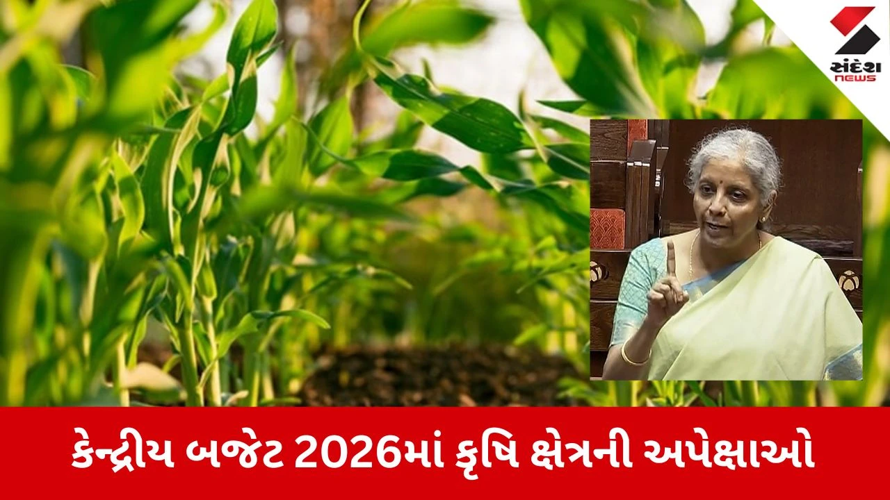 Union Budget 2026: કેન્દ્રીય બજેટ 2026માં કૃષિ ક્ષેત્રની અપેક્ષાઓ 