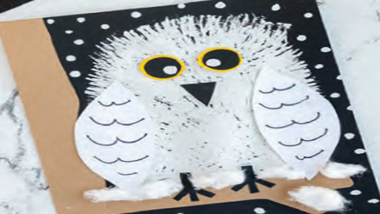કાર્ડ પેપરથી ગ્રીટિંગ કાર્ડ: વ્હાઇટ કાર્ડ પેપર, ફોલ્ડ, સ્નો ઘુવડ બનાવી મિત્રોને ગિફ્ટ આપો.