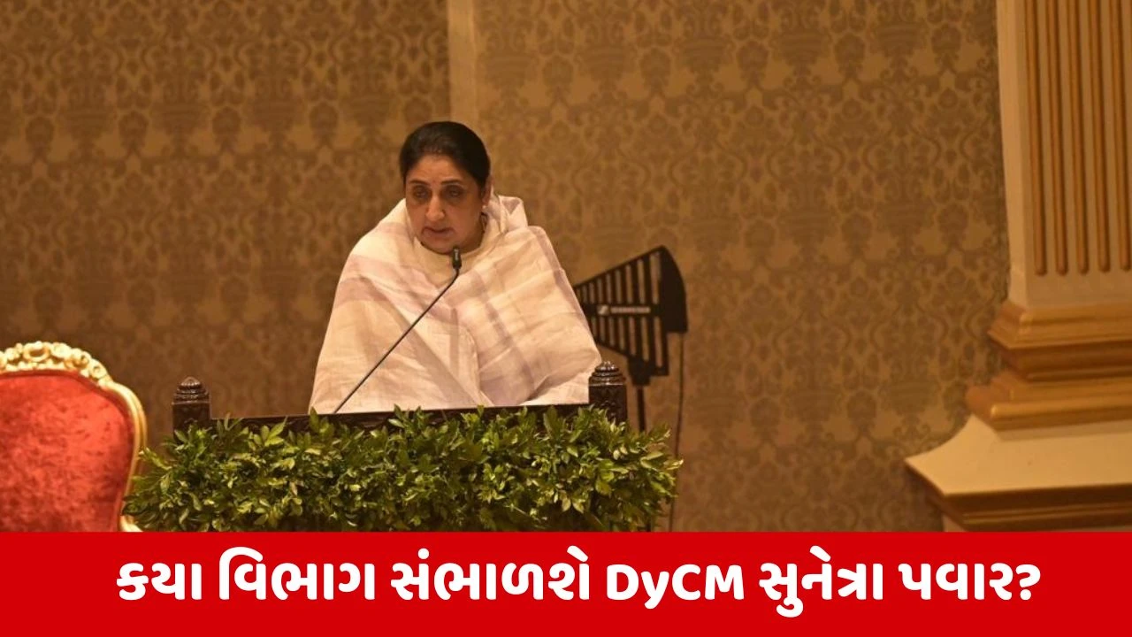 Maharashtra : DyCM સુનેત્રા પવારને કયા વિભાગોની મળી કમાન? વાંચો આ અહેવાલ 