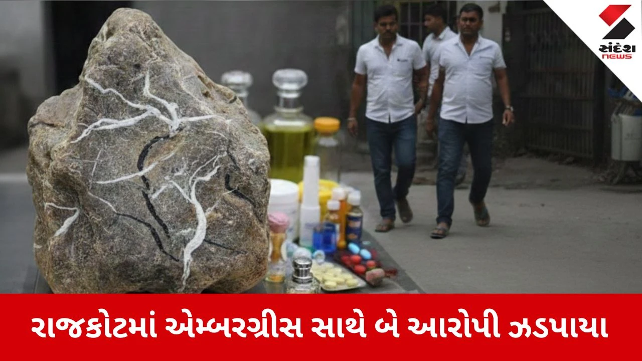 Rajkot News: એમ્બરગ્રીસ સાથે બે આરોપી ઝડપાયા 