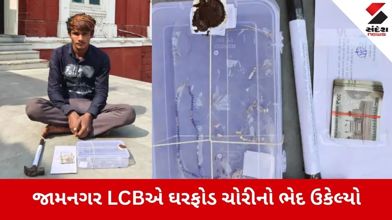 Jamnagar: LCB પોલીસે ઘરફોડ ચોરીનો ભેદ ઉકેલ્યો, 2.54 લાખના મુદ્દામાલ સાથે રીઢો તસ્કર ઝડપાયો 