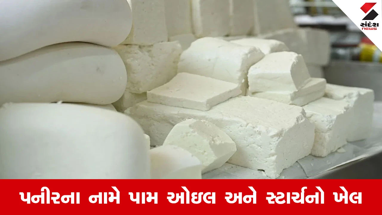 સાવધાન! શું તમારા થાળીમાં પીરસાતું પનીર અસલી છે કે ઝેર? ગુજરાતમાં 23% નમૂના ફેલ.
