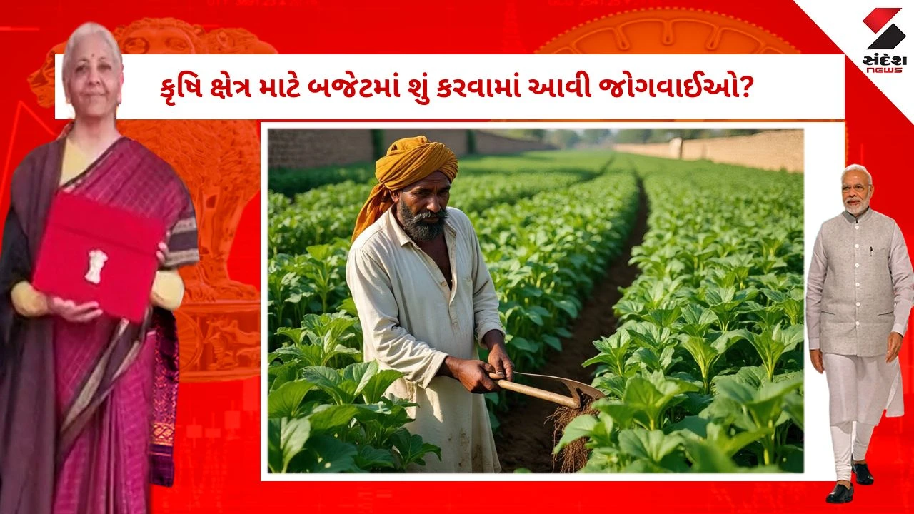 Union Budget 2026 agriculture sector big announcement: કૃષિ ક્ષેત્ર માટે બજેટમાં શું કરવામાં આવી જોગવાઈઓ? 