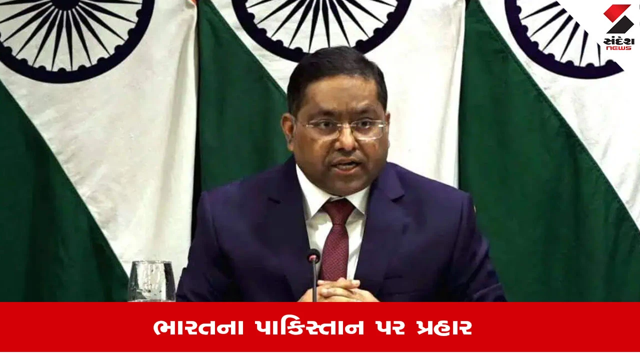 Balochistan મામલે ભારતે Pakistanના આરોપો ફગાવ્યા,  MEA પાકિસ્તાનની આંતરિક નિષ્ફળતા ગણાવી 