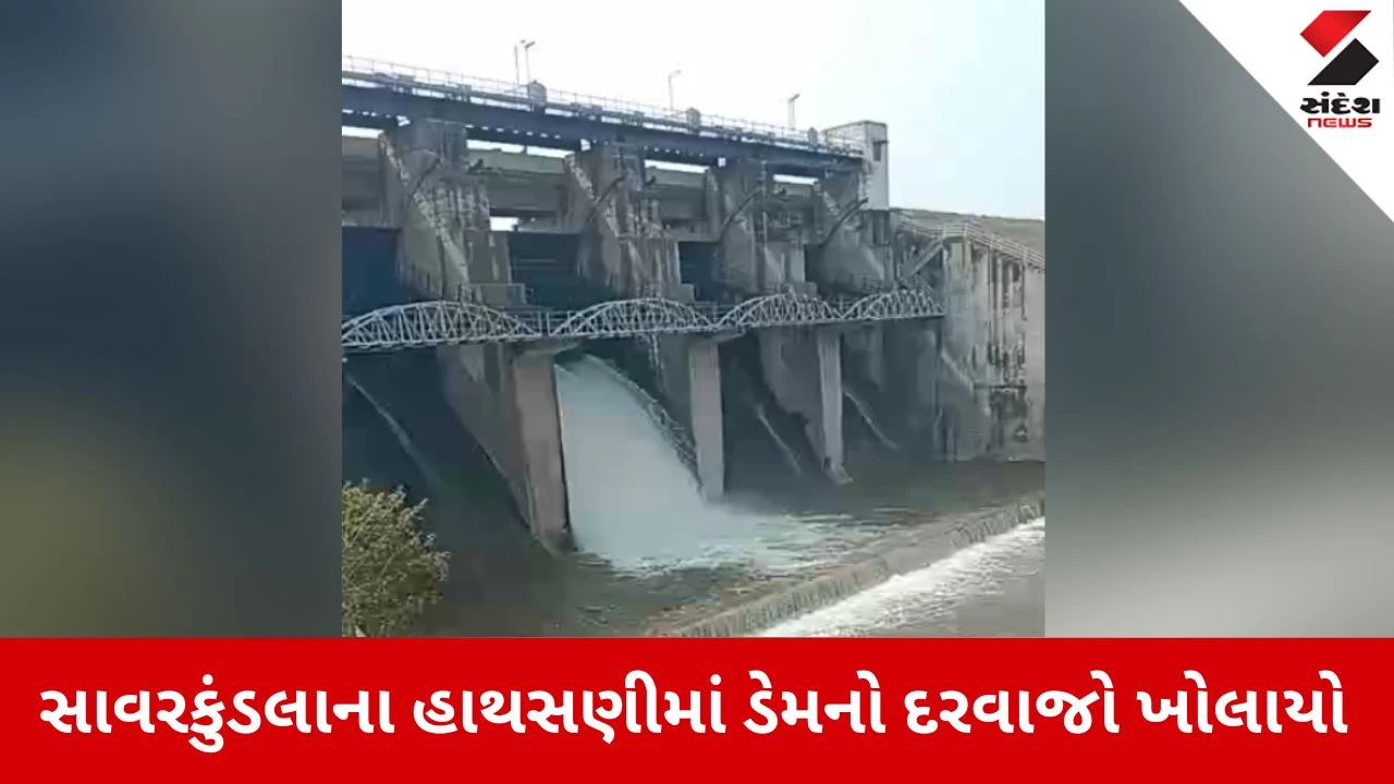 Amreli News: શેલ દેદુમલ ડેમનો એક દરવાજો ખોલાયો, અનેક ગામોને એલર્ટ કરાયા 