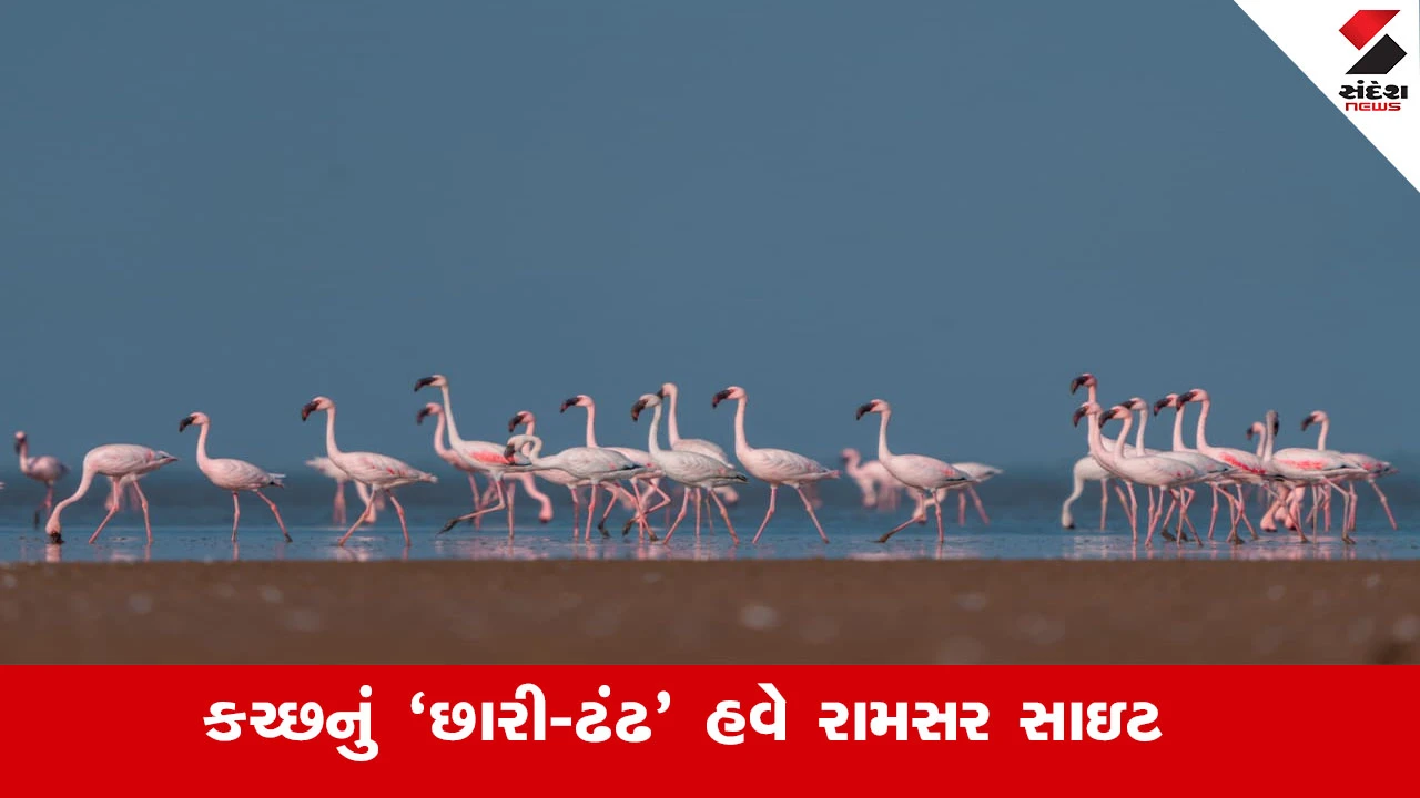 ગુજરાતની જળ-વિરાસતમાં નવું રત્ન, કચ્છનું ‘છારી-ઢંઢ’ હવે રામસર સાઇટ તરીકે જાહેર.