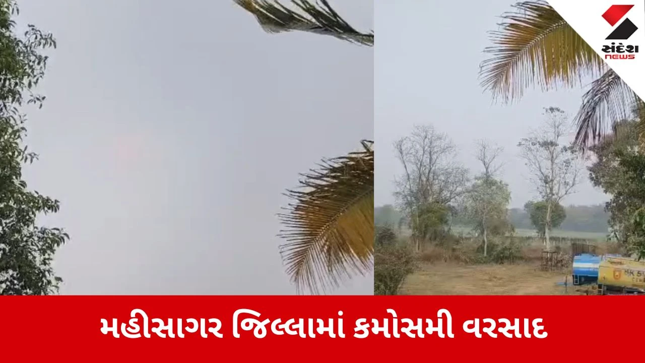 મહીસાગર જિલ્લામાં વાદળછાયા વાતાવરણ બાદ વરસાદી ઝાપટાંથી ખેડૂતો ચિંતાતૂર.