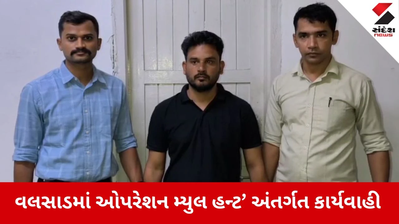 વલસાડ સાયબર ક્રાઇમનું ‘ઓપરેશન મ્યુલ હન્ટ’, છેતરપિંડીના નાણાં સગેવગે કરનાર આરોપી ઝડપાયો.