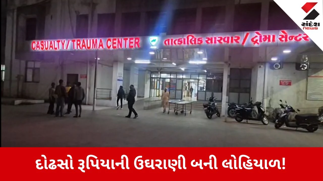 Vadodara News: દોઢસો રૂપિયાની ઉઘરાણી મુદ્દે રિક્ષાચાલક પર બે મિત્રોએ કર્યો ચપ્પુથી હુમલો 