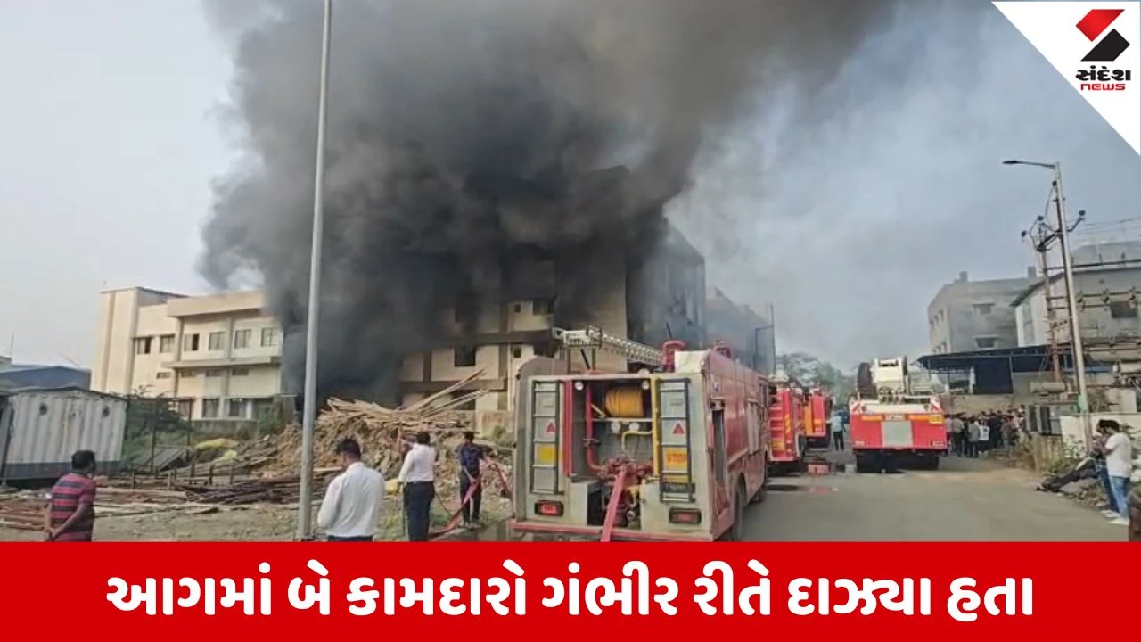 Vapi GIDCમાં અનુસૂયા સર્જીકલ કંપનીમાં લાગેલી આગમાં 1 કામદારનું મોત, 1ની હાલત હજું પણ ગંભીર 