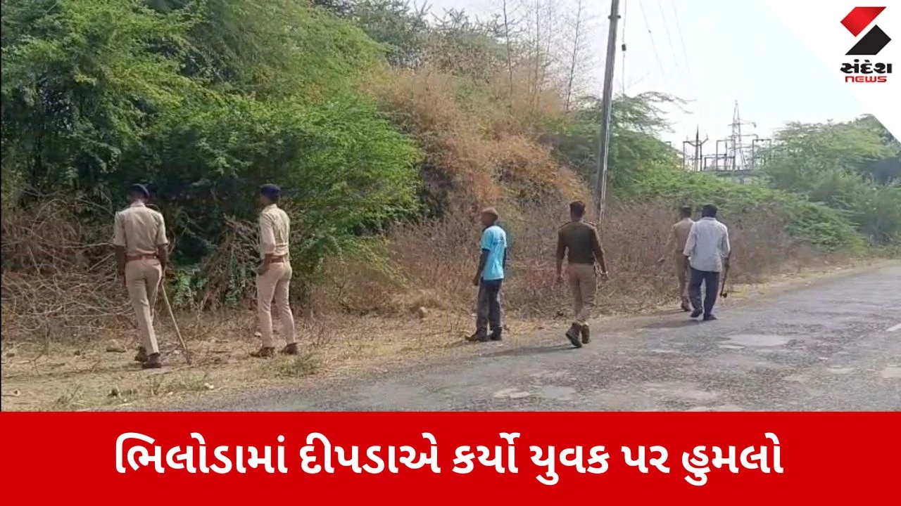 Aravalli News: ભિલોડામાં દીપડાનો આતંક, કુદરતી હાજતે ગયેલા યુવક પર કર્યો હુમલો 