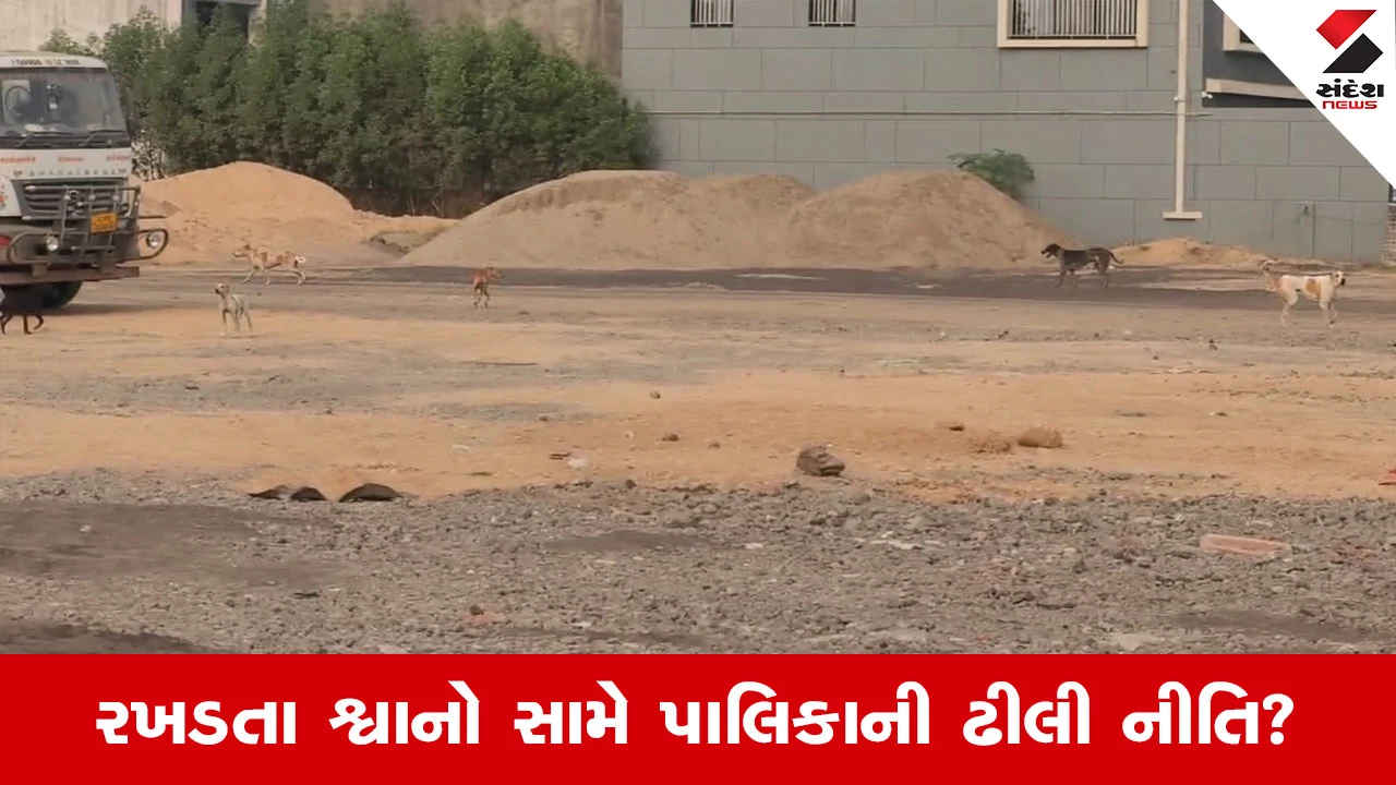 Surat માં શ્વાનનો આતંક, વાલક પાટિયા પાસે બાળક પર હુમલો થતા રહીશોમાં ફફડાટ