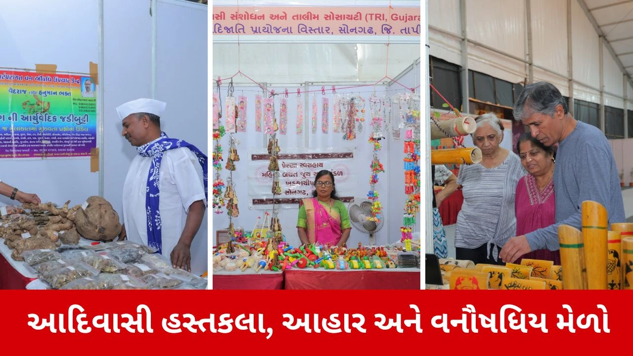 પરંપરાગત આદિવાસી હસ્તકલા, આહાર અને વનૌષધિય મેળો, જુઓ Photos 