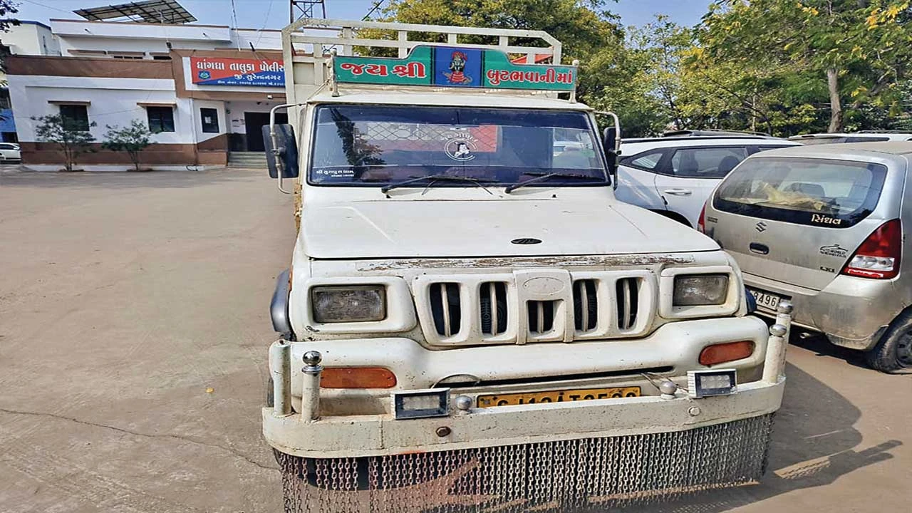 Surendranagar: કતલખાને ધકેલાતા ત્રણ પશુનો જીવ બચાવાયો 