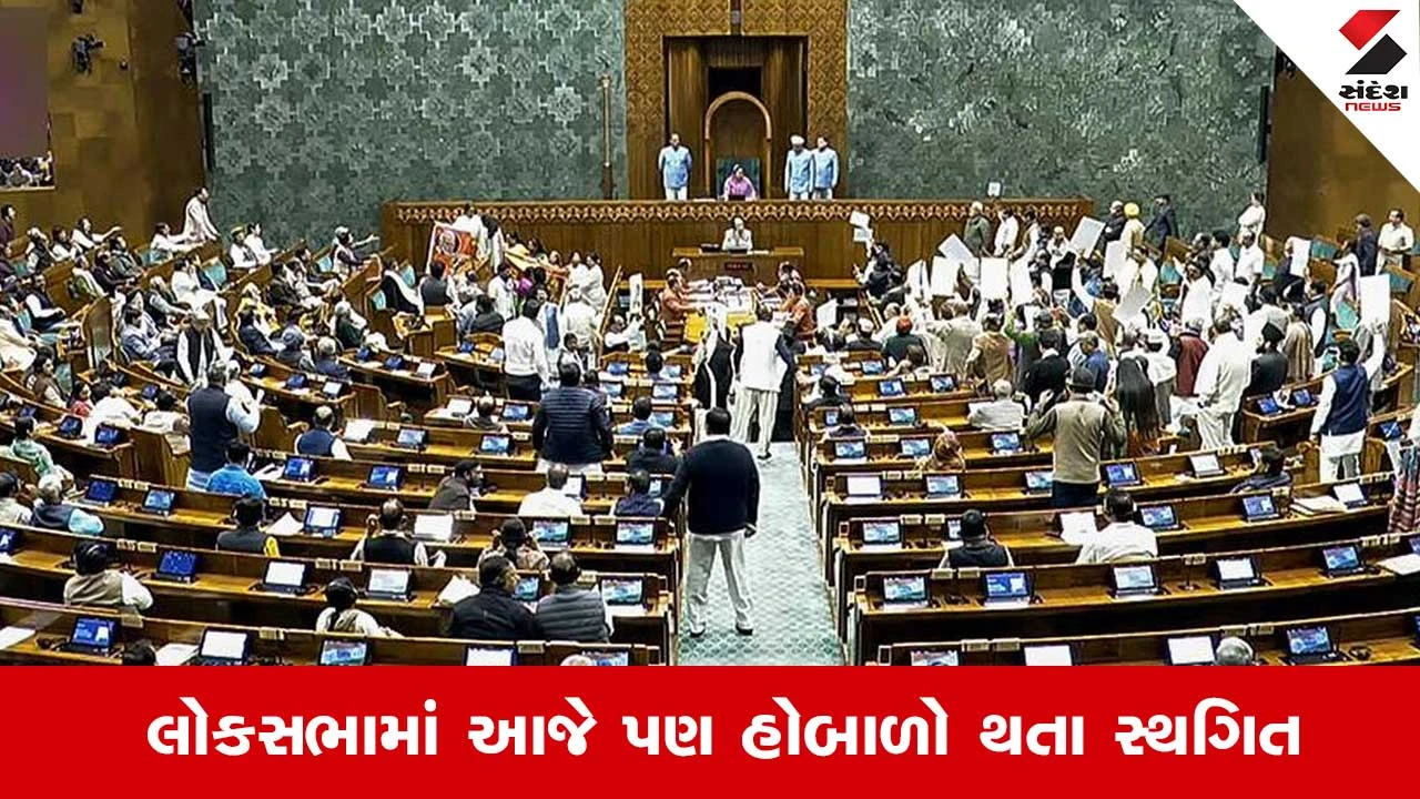 Parliament Budget Session 2026: PM Modiના ભાષણ વિના ધન્યવાદ પ્રસ્તાવ પસાર, લોકસભા 2 વાગ્યા સુધી સ્થગિત 