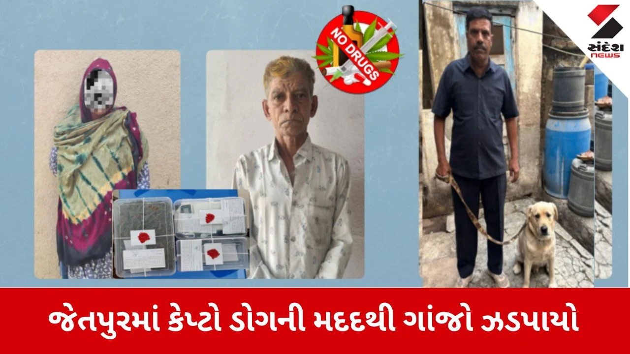 Rajkot News: ‘કેપ્ટો’ ડોગે સૂંઘીને પકડ્યો ગાંજાનો જથ્થો, એક મહિલા સહિત બે આરોપીઓ ઝડપાયા 