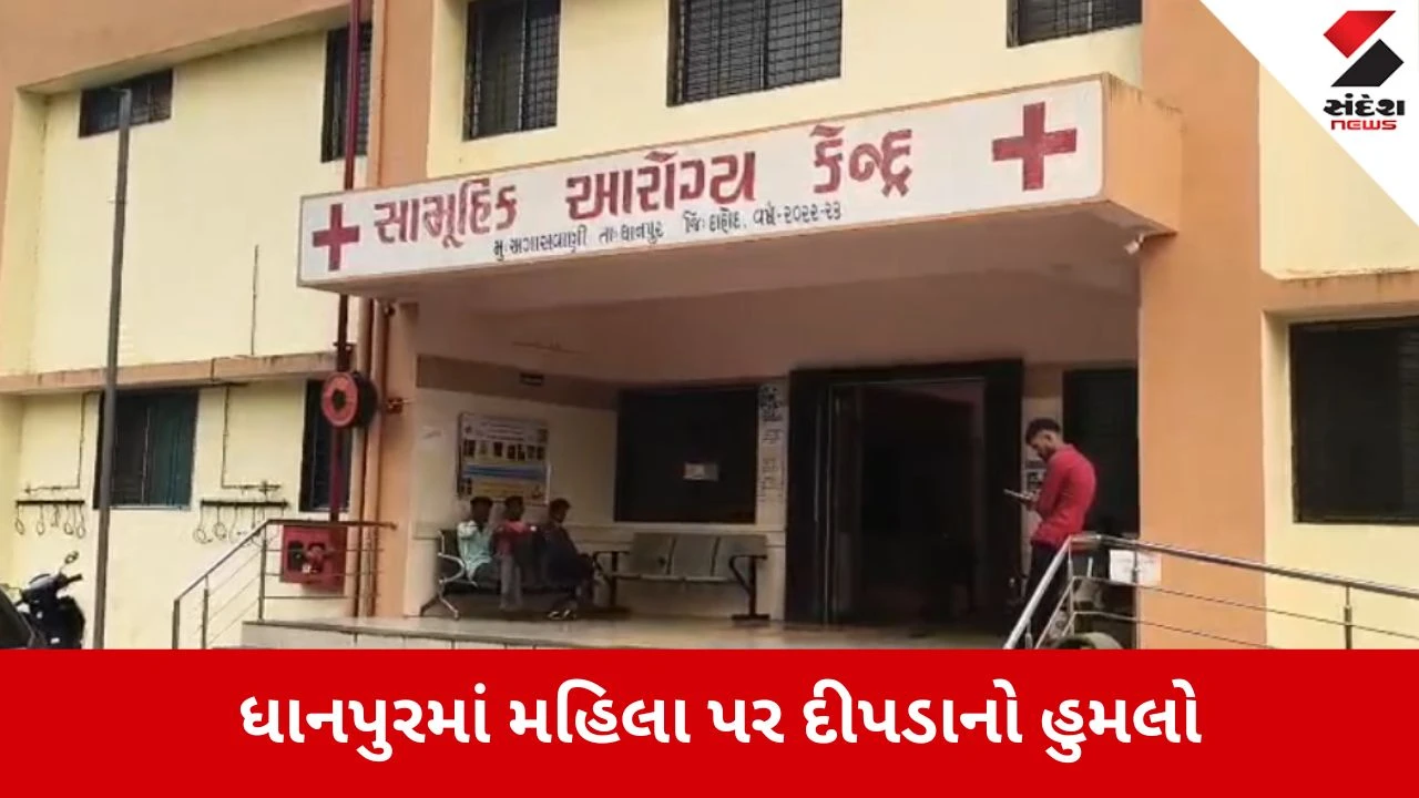Dahod: ધાનપુરમાં દીપડાનો આતંક, દુધામલી ગામે ખેતરમાં કામ કરતી મહિલા પર હુમલો