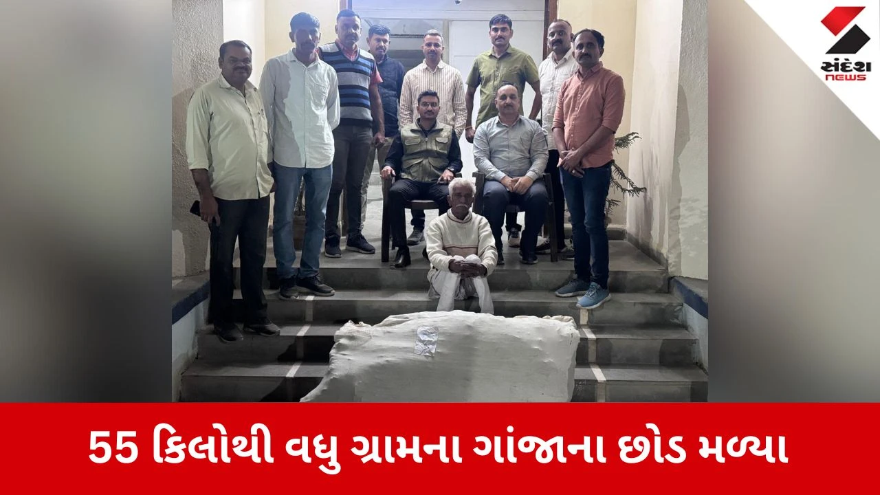 Gir Somnath News: વૃદ્ધે ઘરના વાડામાં જ કર્યું ગાંજાનું વાવેતર, 27 લાખનો મુદ્દામાલ જપ્ત! 