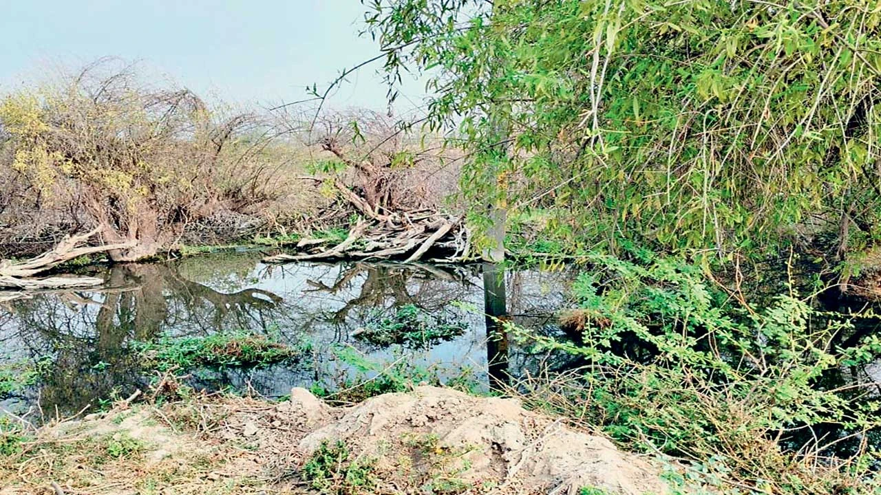 Mandal: દાલોદ-વિંઝુવાડા રોડ પર ગટરના પાણી ભરાતાં નર્કાગારની સ્થિતિ : સ્થાનિક લોકોમાં રોષ 