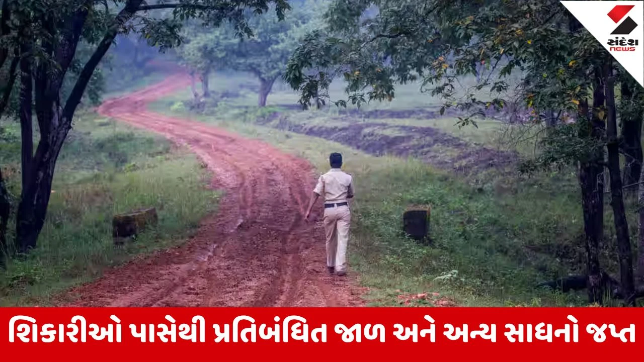 Junagadh : જીંજરી ગામે સસલાંઓનો શિકાર કરવાની ફિરાકમાં રહેલા બે શખ્સો ઝડપાયા 