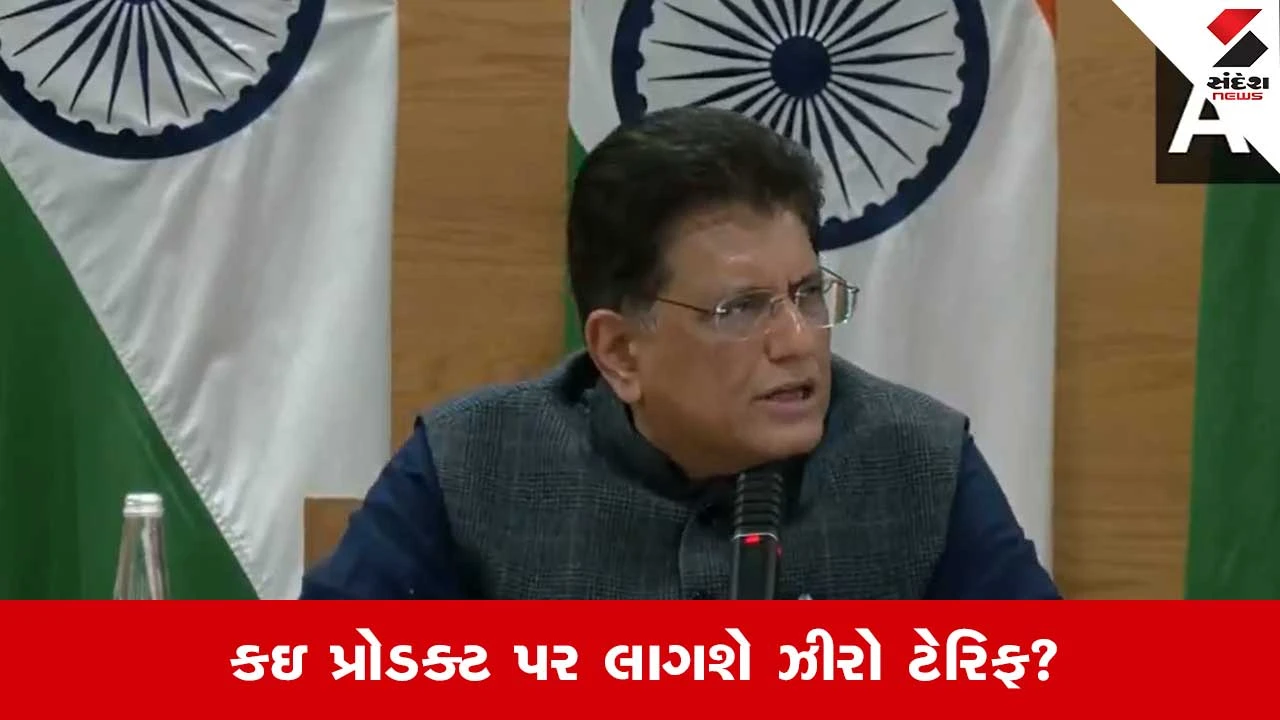 India US Trade Deal: કઇ કઇ ચીજવસ્તુઓ પર લાગશે ઝીરો ટેક્સ ? જણાવ્યું પીયૂષ ગોયલે 