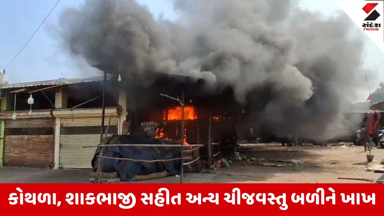 Nadiadમાં મોટી શાક માર્કેટની દુકાનોમાં ભીષણ આગ, અચાનક લાગેલી આગમાં 6 જેટલી દુકાનો લપેટાઇ