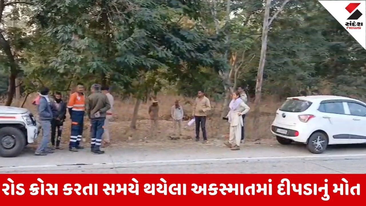 દાહોદ-લીમખેડા હાઈવે પર અજાણ્યા વાહનની ટક્કરથી દીપડાનું દુઃખદ મોત. વન વિભાગે તપાસ હાથ ધરી.