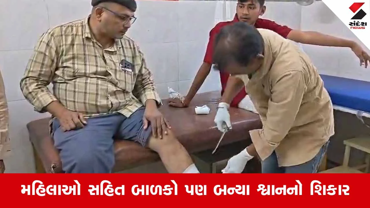 Bharuchના આમોદમાં રખડતા શ્વાનનો હાહાકાર: એક જ કલાકમાં સાત લોકોને ભર્યા બચકા 