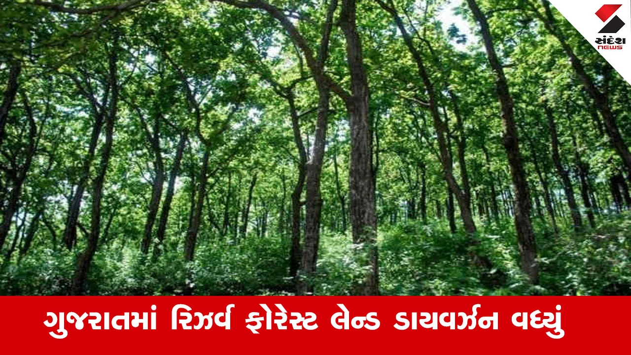 ગુજરાતમાં રિઝર્વ ફોરેસ્ટ લેન્ડ ડાયવર્ઝન, 5 વર્ષમાં જંગલની 6850 હેક્ટર જમીન ઉદ્યોગોને અપાઇ.