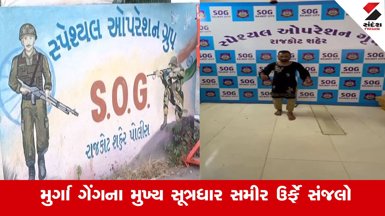 Rajkot News : મુર્ગા ગેંગનો મુખ્ય સૂત્રધાર સમીર ઉર્ફે સંજલો ઝડપાયો, પોલીસથી બચવા રાજકોટ આવે ત્યારે મહિલાના કપડાં પહેરીને ફરતો આરોપી