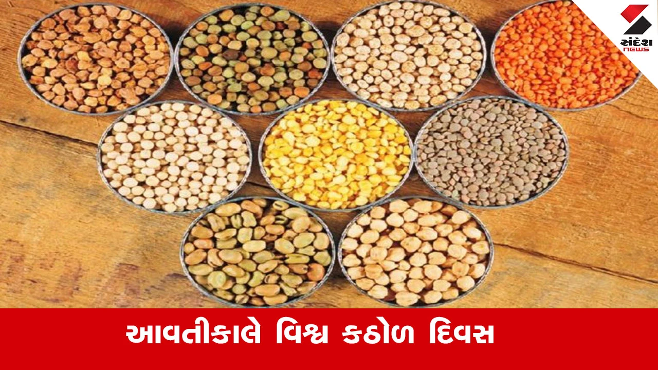 Agriculture News : ગુજરાતમાં વાર્ષિક 20 લાખ મેટ્રિક ટનથી વધુ કઠોળનું ઉત્પાદન, 70 ટકાથી વધુ હિસ્સો ચણાનો 