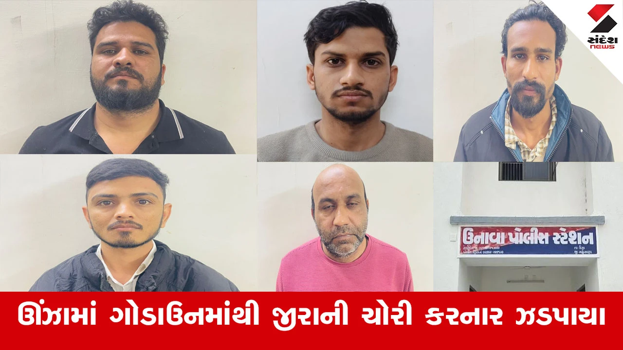 Mehsana News : ગુજરાત હાઈકોર્ટમાં વકીલ તરીકેની પ્રેકટિસ કરતા વકીલે ગેંગ રચીને 3 કરોડ કરતા વધારેની કિંમતના જીરાની ચોરી કરી 