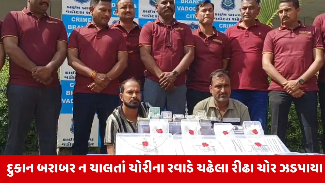 Vadodara : પ્રોફેશનલ કપડાંમાં આવીને બંધ મકાનોને ટાર્ગેટ કરી ચોરી કરતા 2 ઘરફોડીયા ઝડપાયા, 74 લાખ નો મુદ્દામાલ કબ્જે કરાયો 