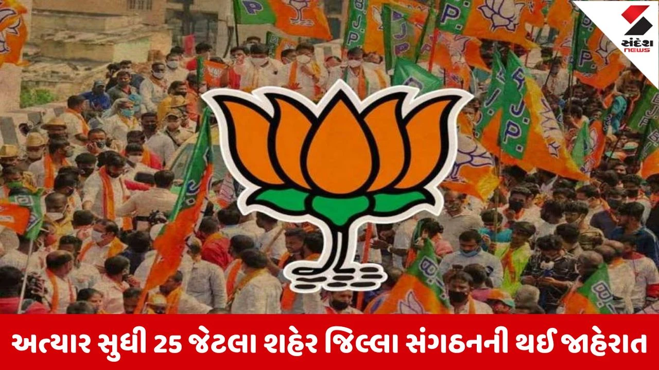 અમદાવાદ ભાજપ સંગઠનમાં નિમણૂંકનું કોકડું ગૂંચવાયું, મહામંત્રી પદ માટે નામ મંગાવાયા.