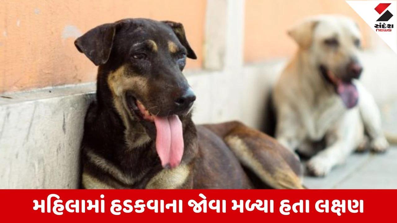 બનાસકાંઠાના દાંતામાં હડકવાથી મહિલાનું મોત, કૂતરૂં કરડ્યા બાદ રસી ન લેતા દુ:ખદ ઘટના.
