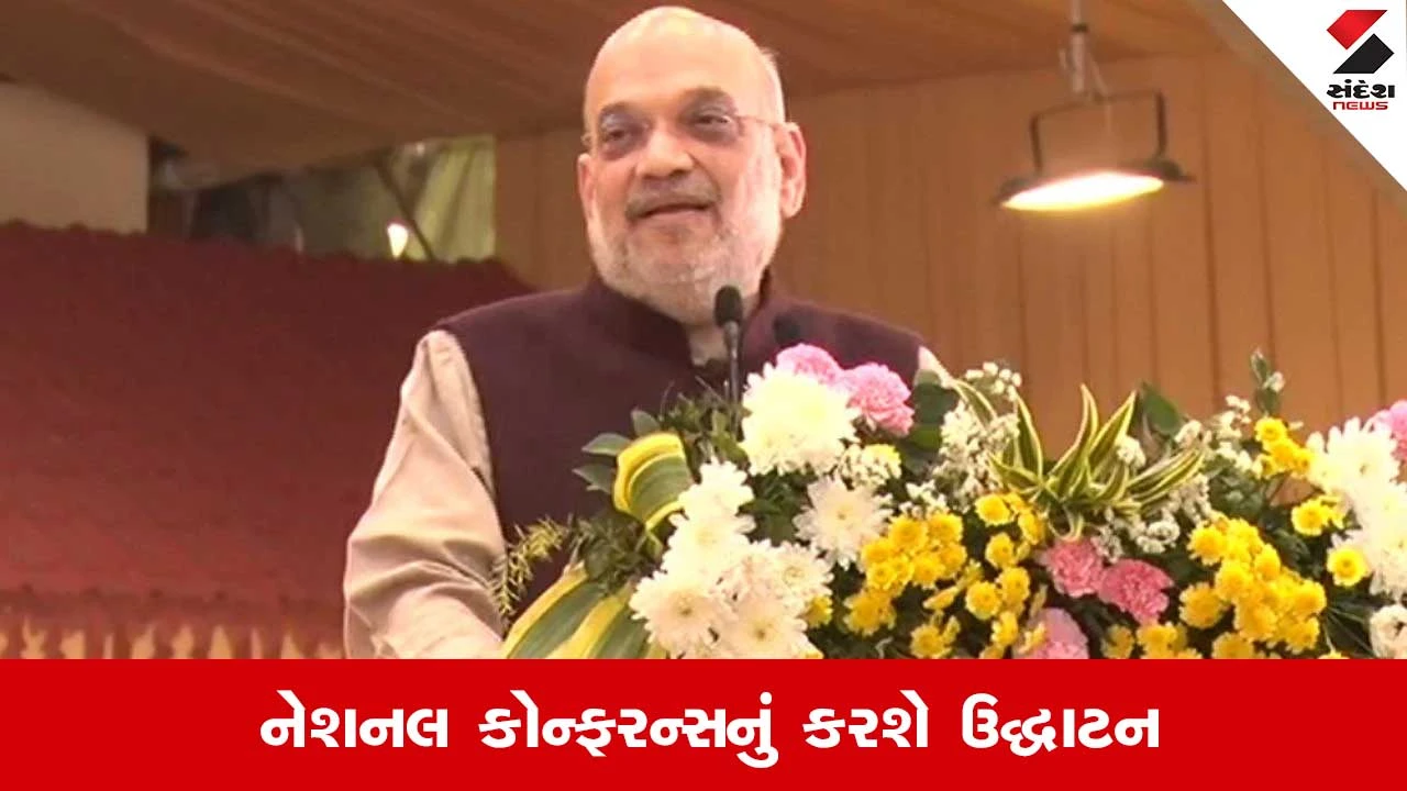 સાયબર સ્કેમ રોકવા નેશનલ કોન્ફરન્સ યોજાશે, અમિત શાહ મોટી જાહેરાત કરશે.