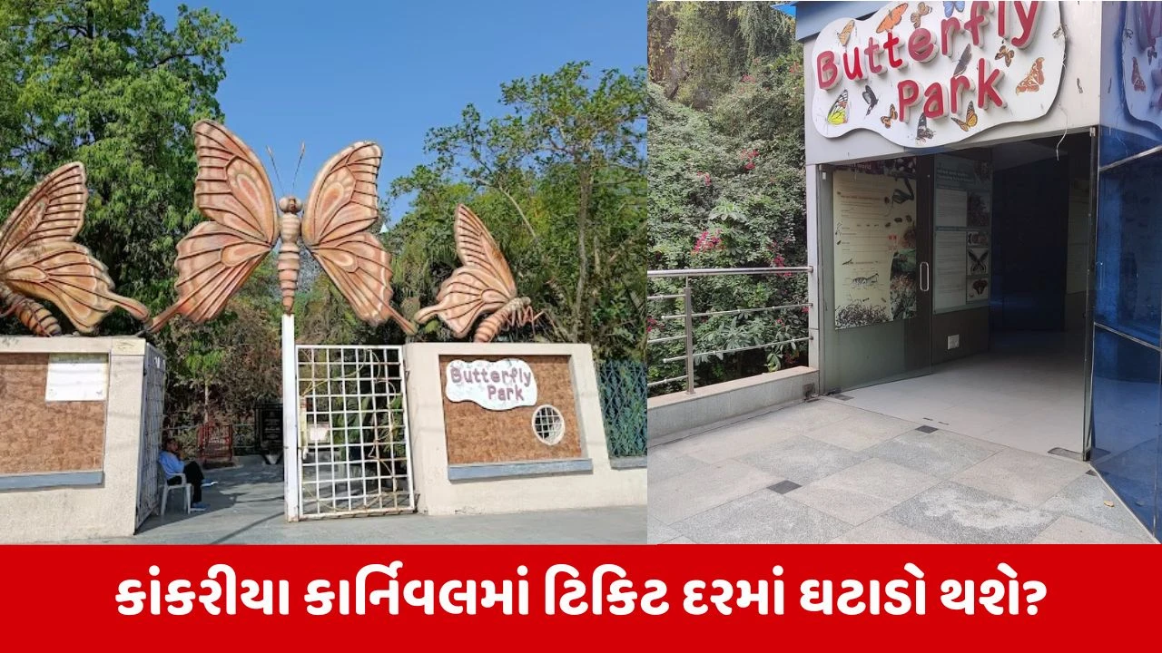 Ahmedabad : કાંકરીયા કાર્નિવલમાં બટરફ્લાય પાર્ક અને વેક્સ મ્યુઝિયમની ટિકિટ સસ્તી થશે 