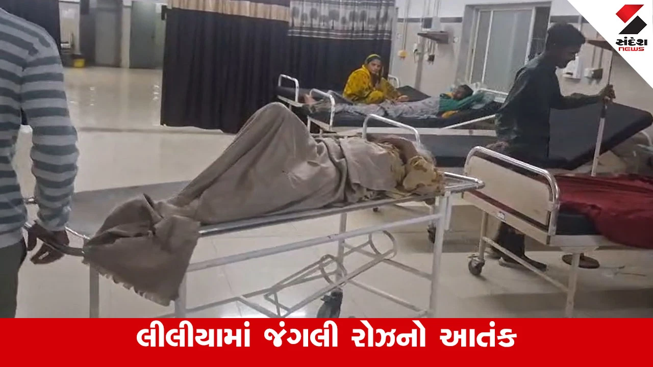 Amreli News: લીલીયાના કણકોટમાં જંગલી રોઝ હડકાયુ બનતાં બે લોકોને ઈજા પહોંચાડી