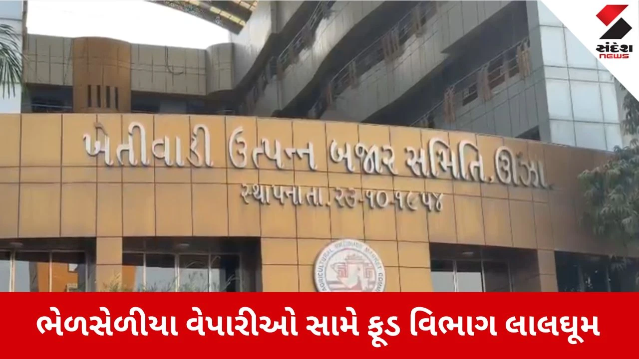 Mahesana news: જીરું-વરિયાળીમાં ભેળસેળ કરનારા સાવધાન! ફૂડ ઓફિસરે આપી કડક ચેતવણી 